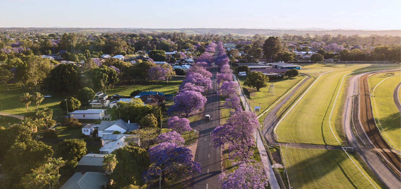 A picturesque road lined with vibrant purple trees