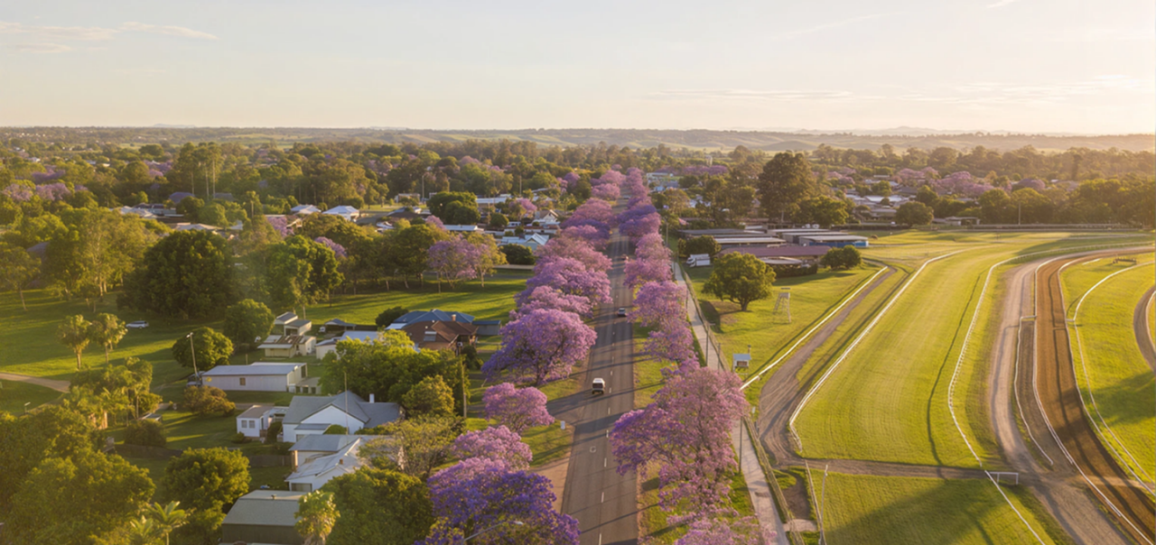 A picturesque road lined with vibrant purple trees